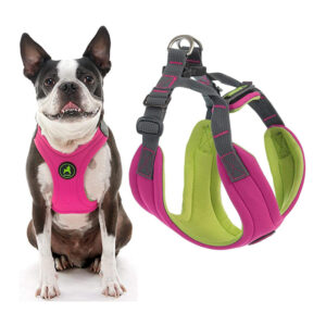 Neoprene Pet Collar Cover